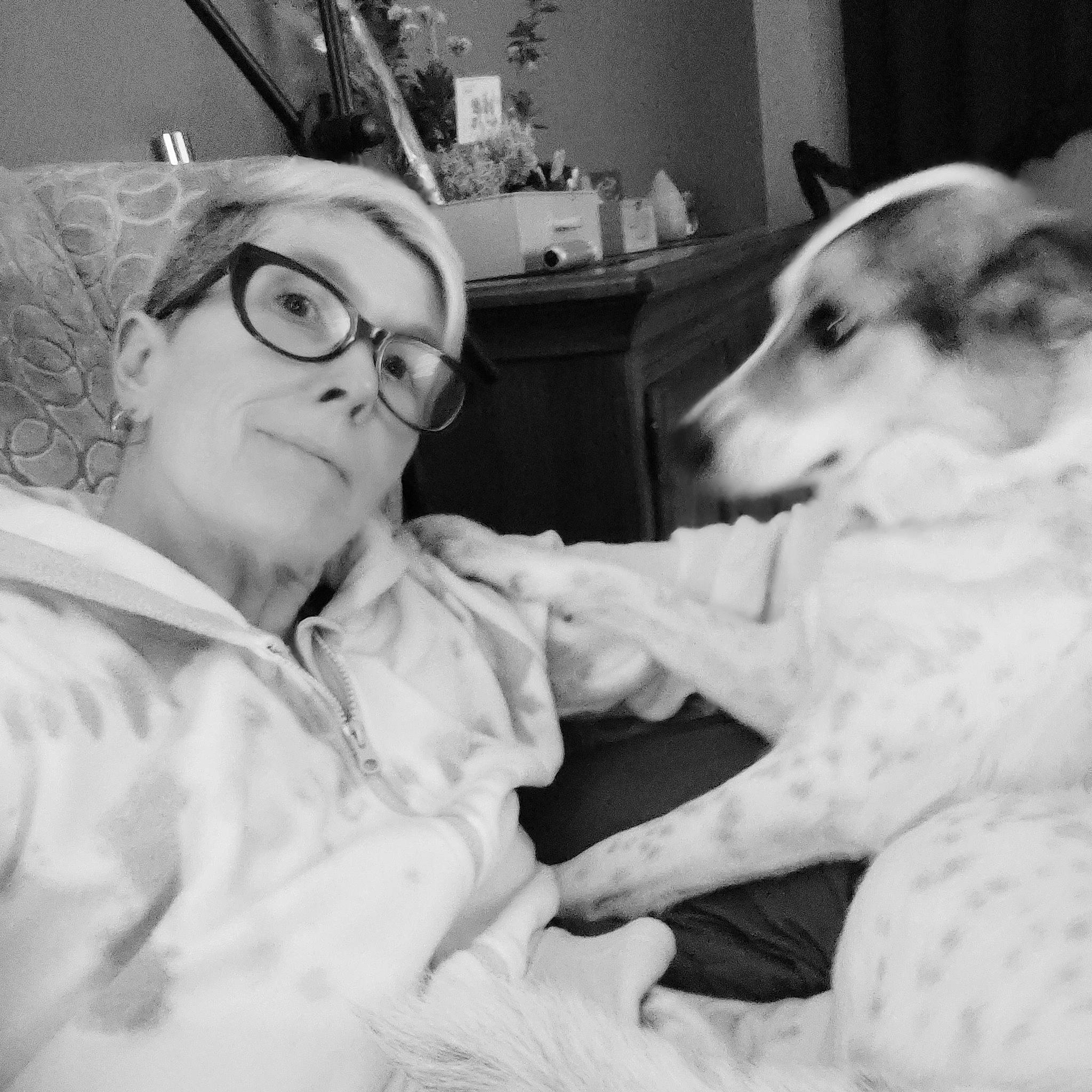 Mila a rejoint le concours — aidez-le/la à gagner de superbes lots ! black_and_white, carnivore, comfort, companion_dog, dog, dog_breed, event, eyewear, fur, gesture, glasses, happy, monochrome, monochrome_photography, picture_frame, room, sitting, sporting_group, style, vision_care