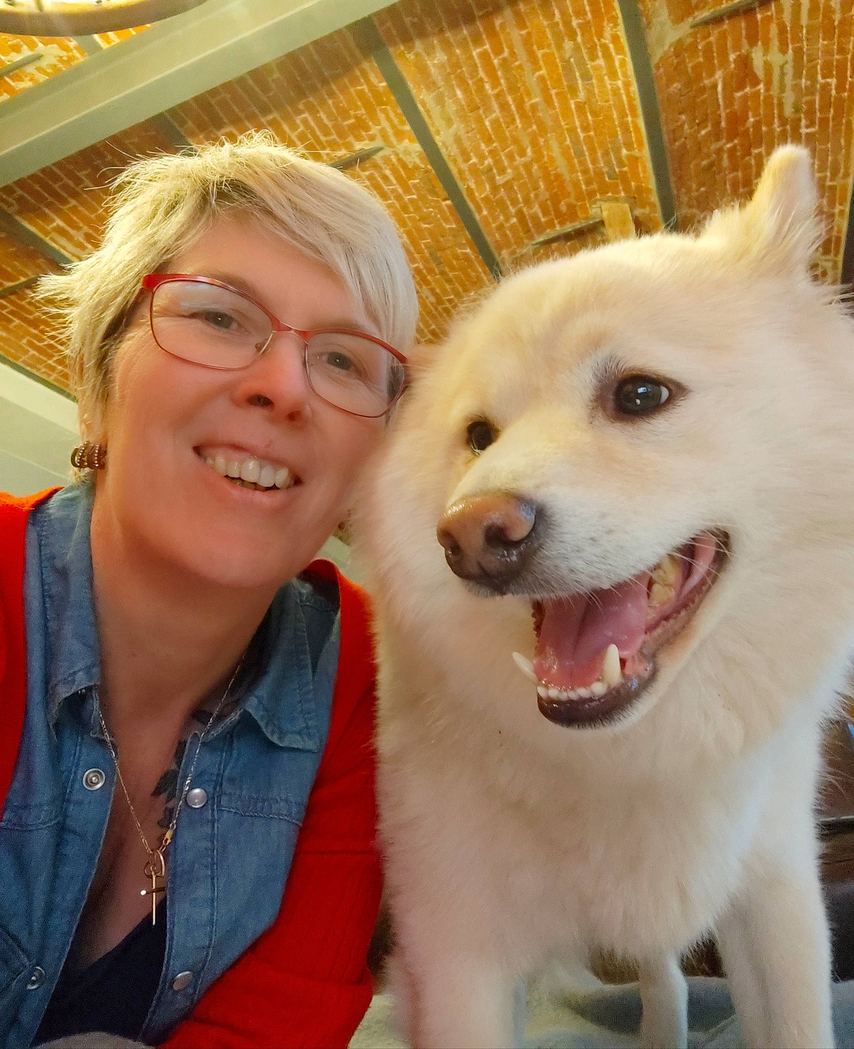 Shiro participe au concours pour gagner de l'argent avec cette photo : ancient_dog_breeds, canidae, carnivore, collar, companion_dog, dog, dog_breed, eyewear, facial_expression, fun, fur, glasses, happy, selfie, smile, snout, sporting_group, vision_care, whiskers, working_dog