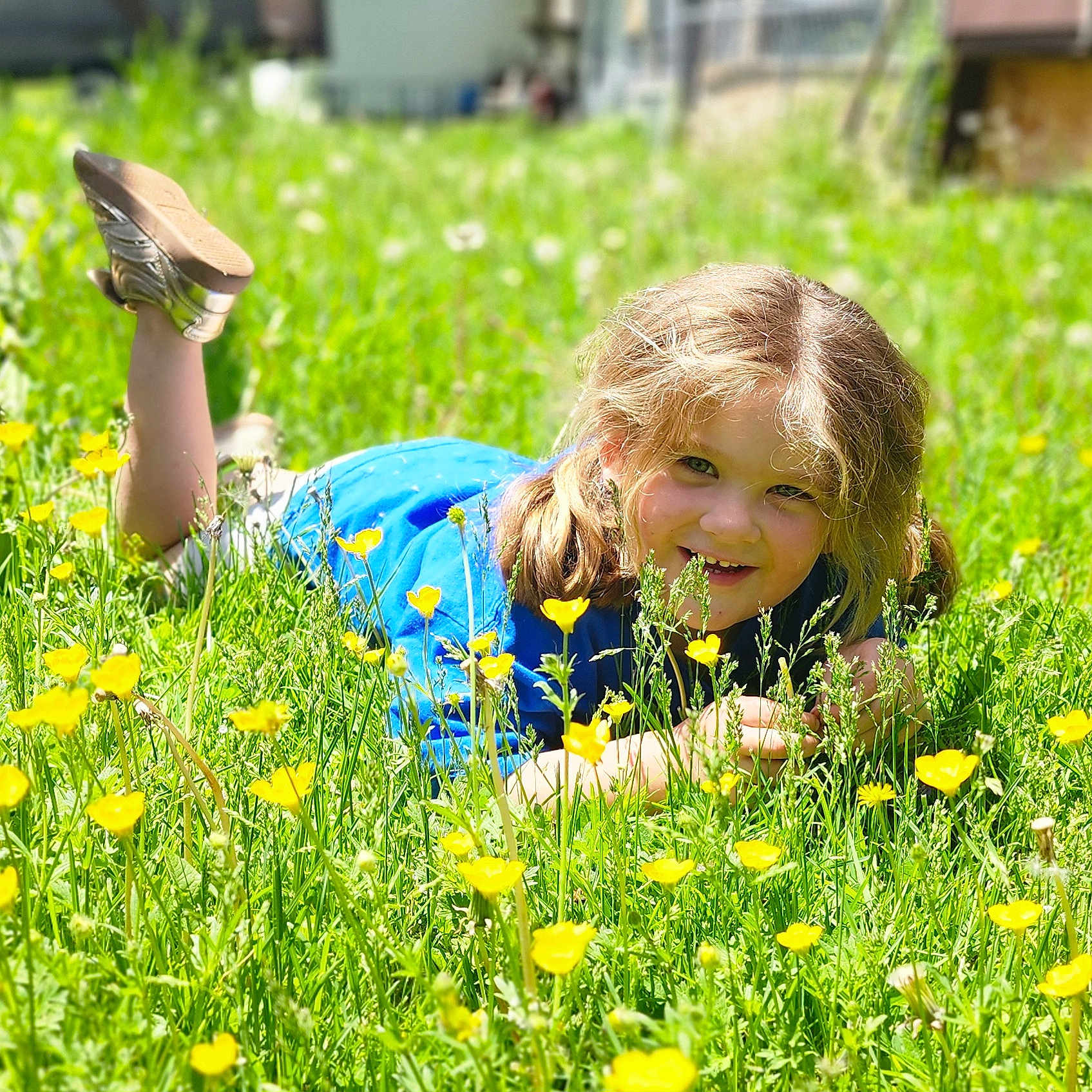 Mackenzie joined the competition — help win amazing prizes! child, grass, yellow_flowers, blue_shirt, outdoor, smiling, happy, nature, sunlight, greenery, playful, face, person, casual_clothing, daylight, field, pigtails, shoe, meadow, portrait
