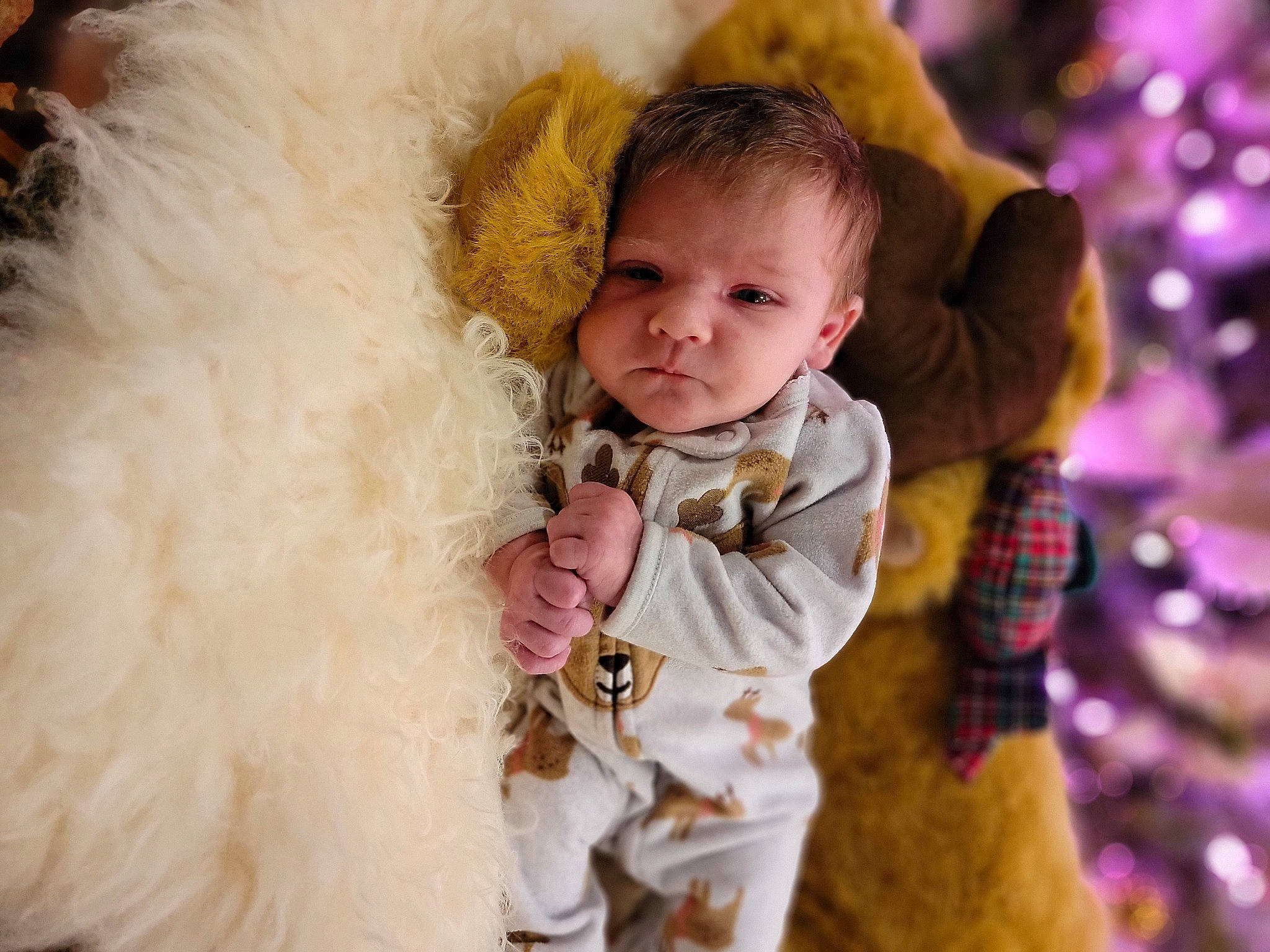 Mackenzie is registered to the contest to win money with this photo: baby, baby_toddler_clothing, child, christmas_tree, comfort, event, fun, fur, fur_clothing, happy, holiday, linens, outerwear, people_in_nature, person, plush, sitting, stuffed_toy, teddy_bear, toddler