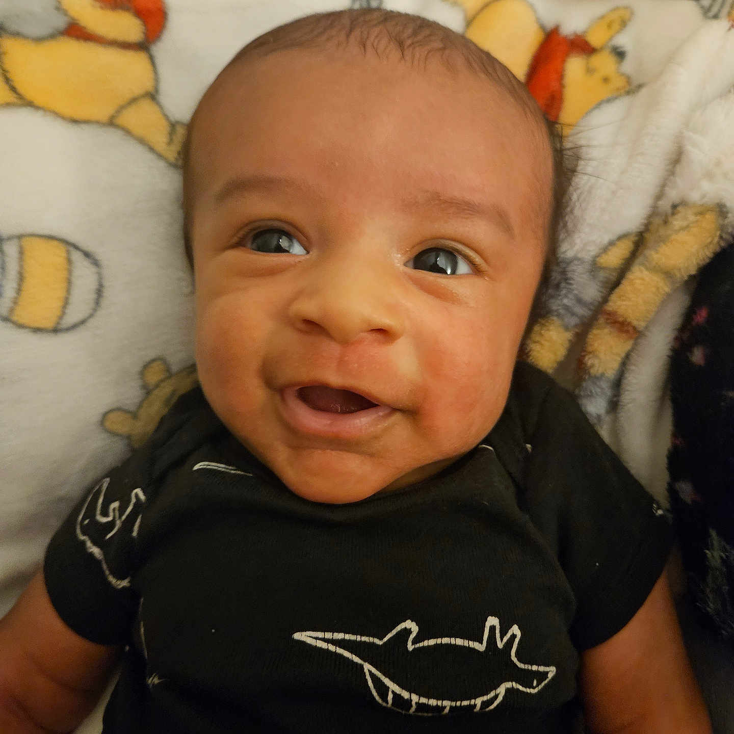 Kenzo is registered to the contest to win money with this photo: animal, baby, bird, bodypart, clothing, couch, cushion, face, furniture, happy, head, homedecor, laughing, mouth, newborn, person, photography, portrait, smile, t_shirt