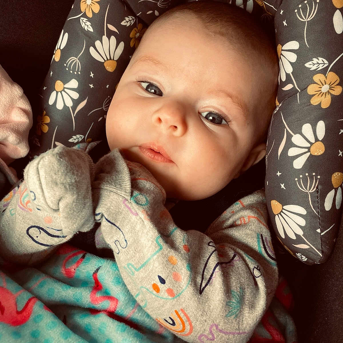 Isabella joined the competition — help win amazing prizes! baby, bed, blanket, car, clothing, couch, cushion, face, furniture, head, homedecor, hosiery, newborn, person, photography, portrait, quilt, sleeping, transportation, vehicle