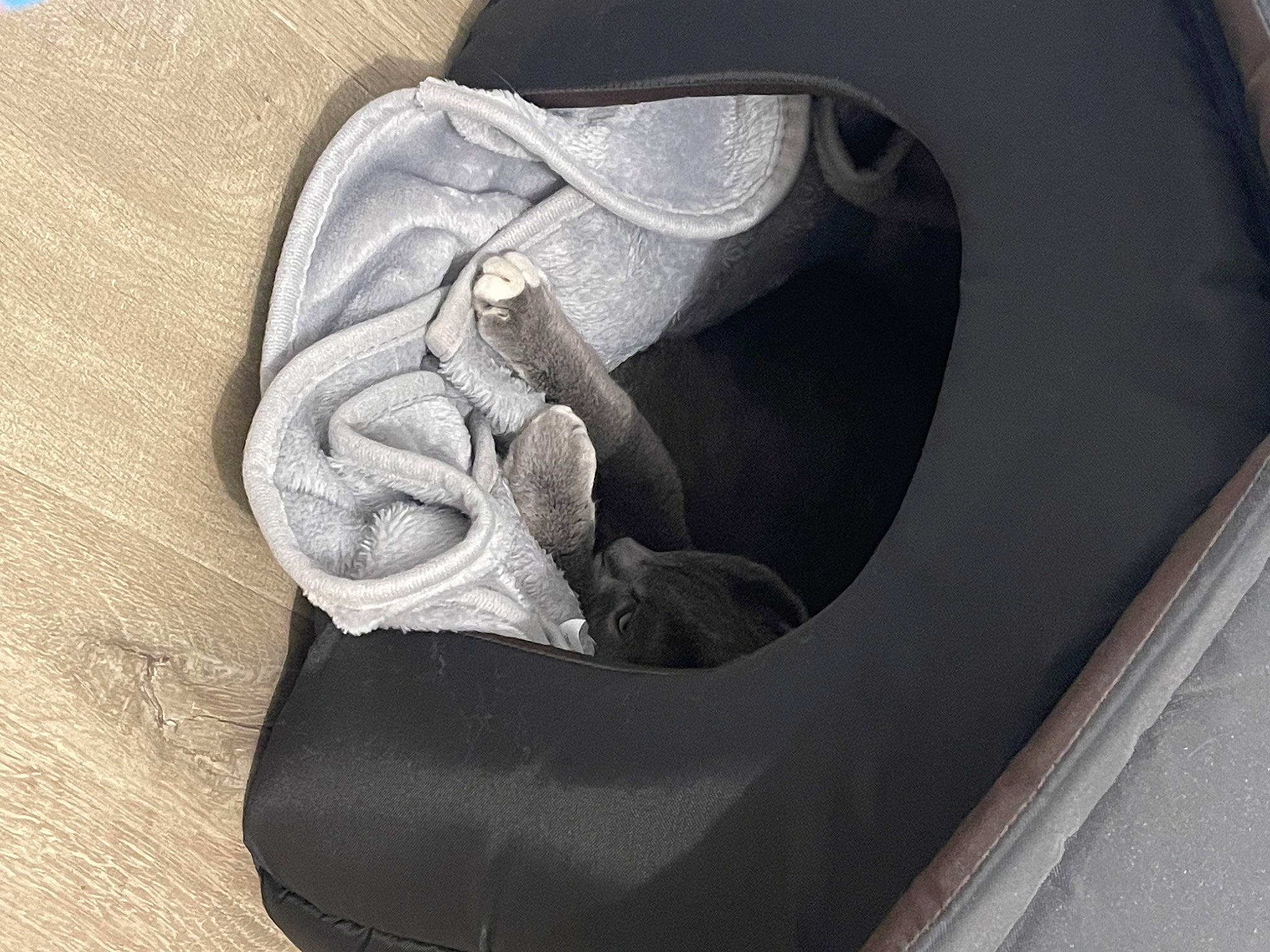 Yumi a rejoint le concours — aidez-le/la à gagner de superbes lots ! athletic_shoe, auto_part, automotive_tire, bag, carbon, carmine, comfort, electric_blue, fashion_accessory, font, grey, luggage_and_bags, material_property, metal, outdoor_shoe, pattern, personal_protective_equipment, shoe, synthetic_rubber, walking_shoe