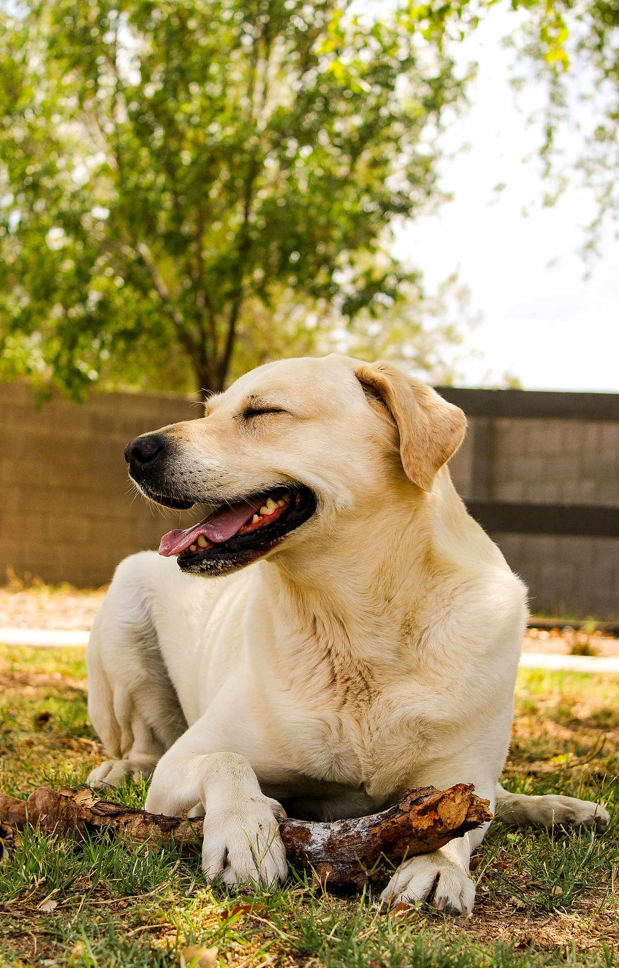 Max