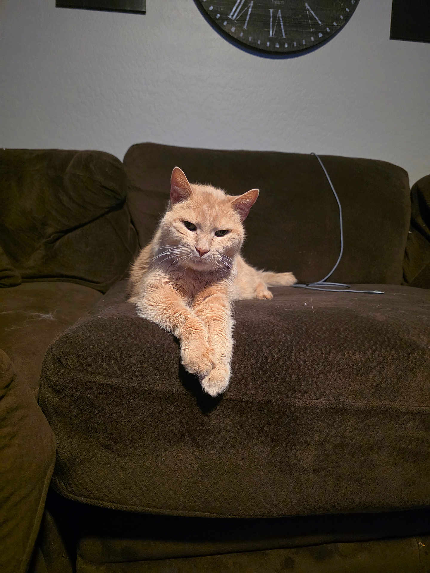 Milo