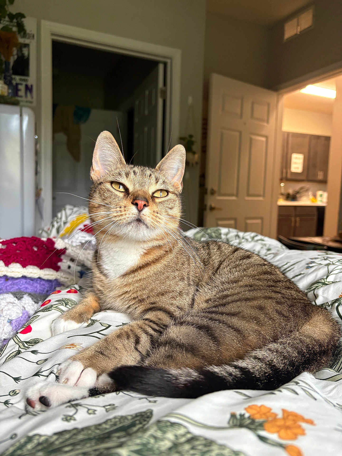 Tuna