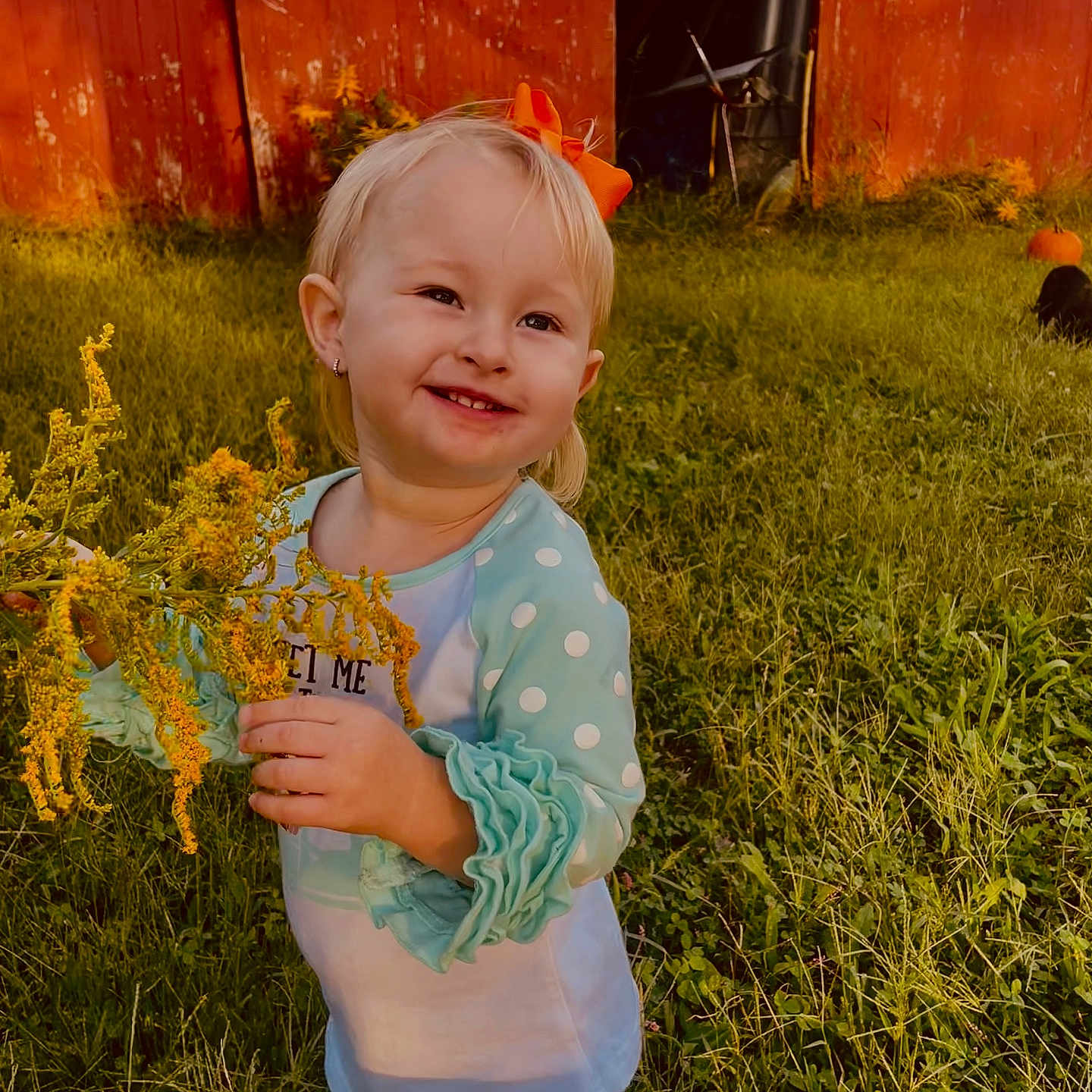 Khloe Jewel joined the competition — help win amazing prizes! architecture, baby, backyard, building, clothing, face, flower, grass, happy, head, nature, outdoors, person, photography, plant, portrait, shelter, smile, t_shirt, yard