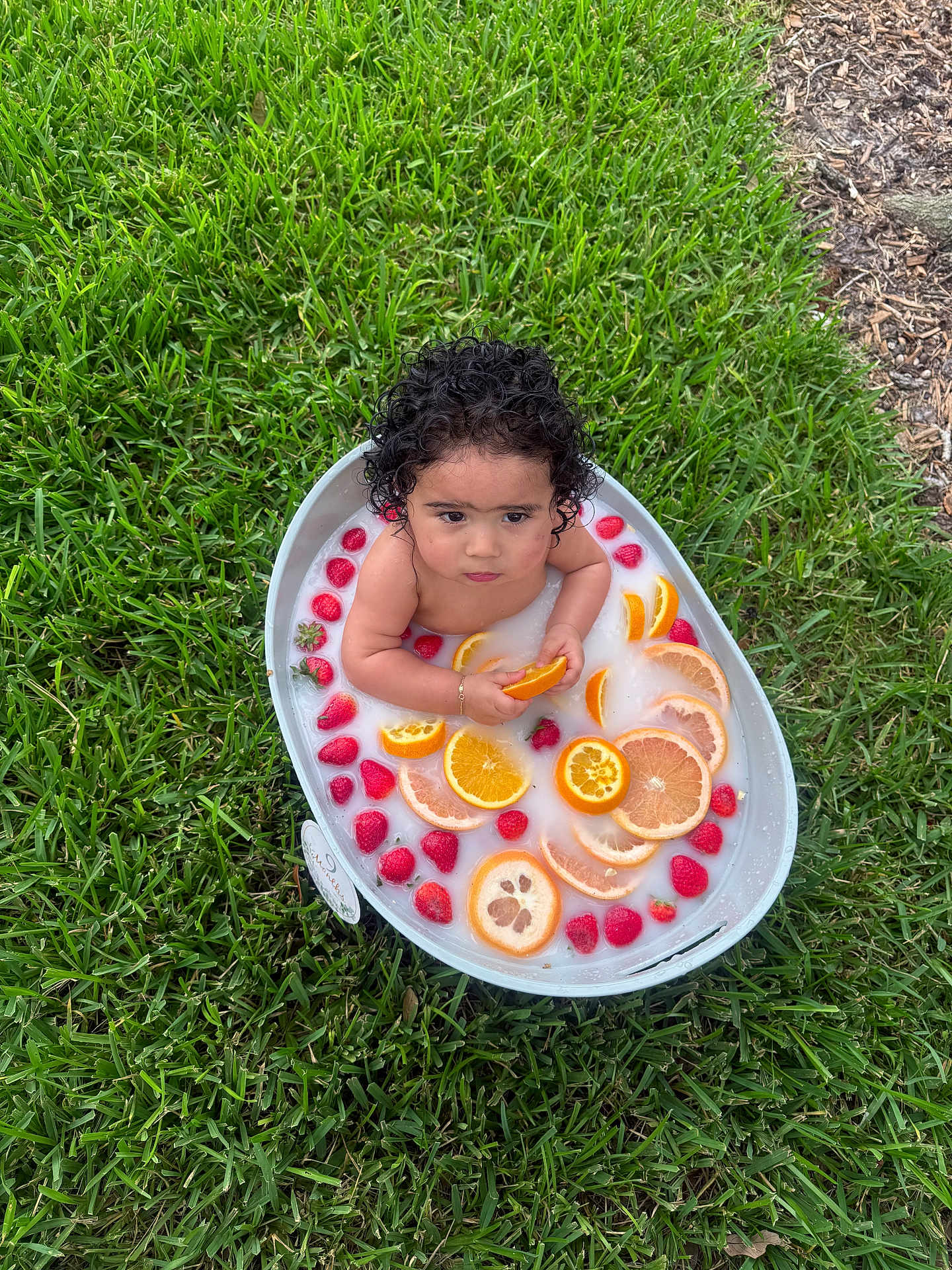 Thiago joined the competition — help win amazing prizes! child, toddler, milk_bath, orange_slices, strawberries, outdoor, grass, curly_hair, bathtub, food, fruit, water, skin, summer, nature, relaxation, playful, healthy, fresh, cute