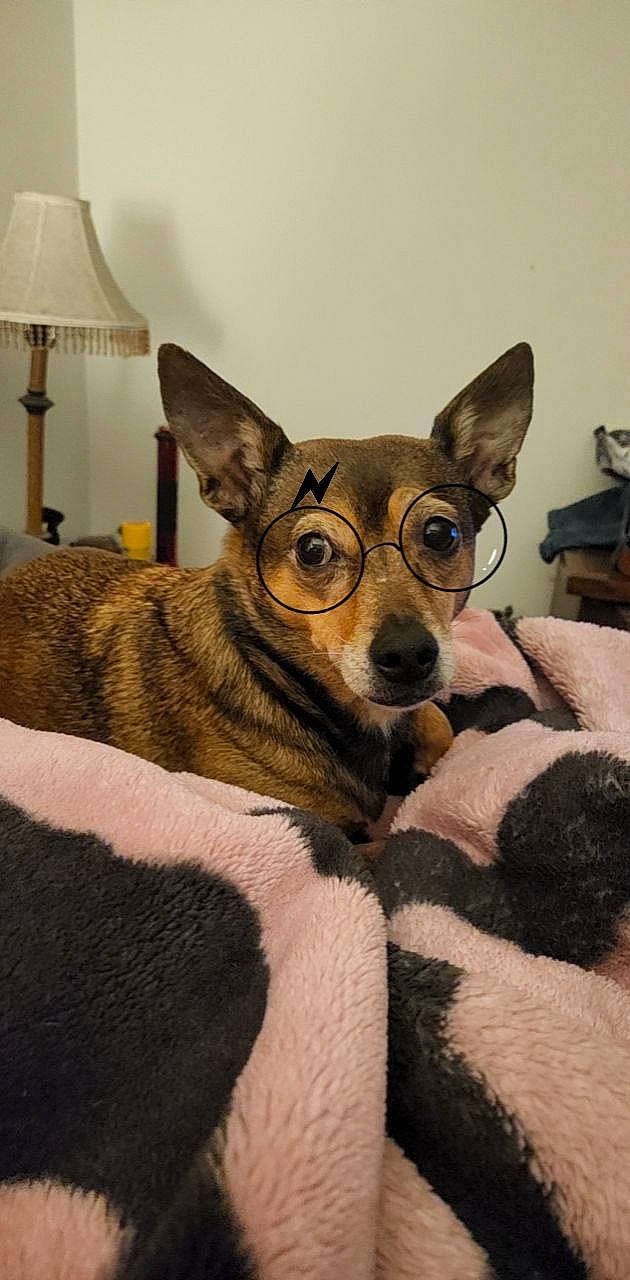 Florence Nightingale