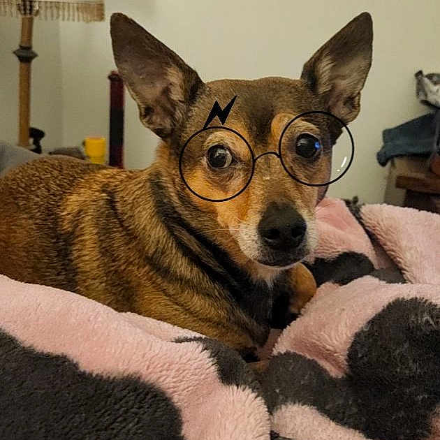 Florence Nightingale