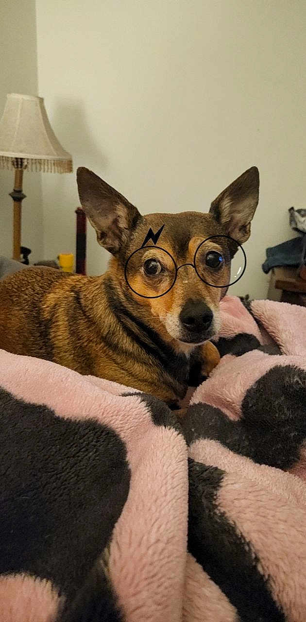 Florence Nightingale