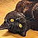 Binx