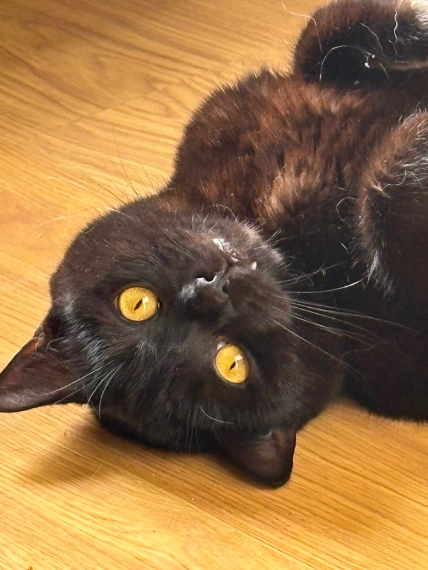 Binx