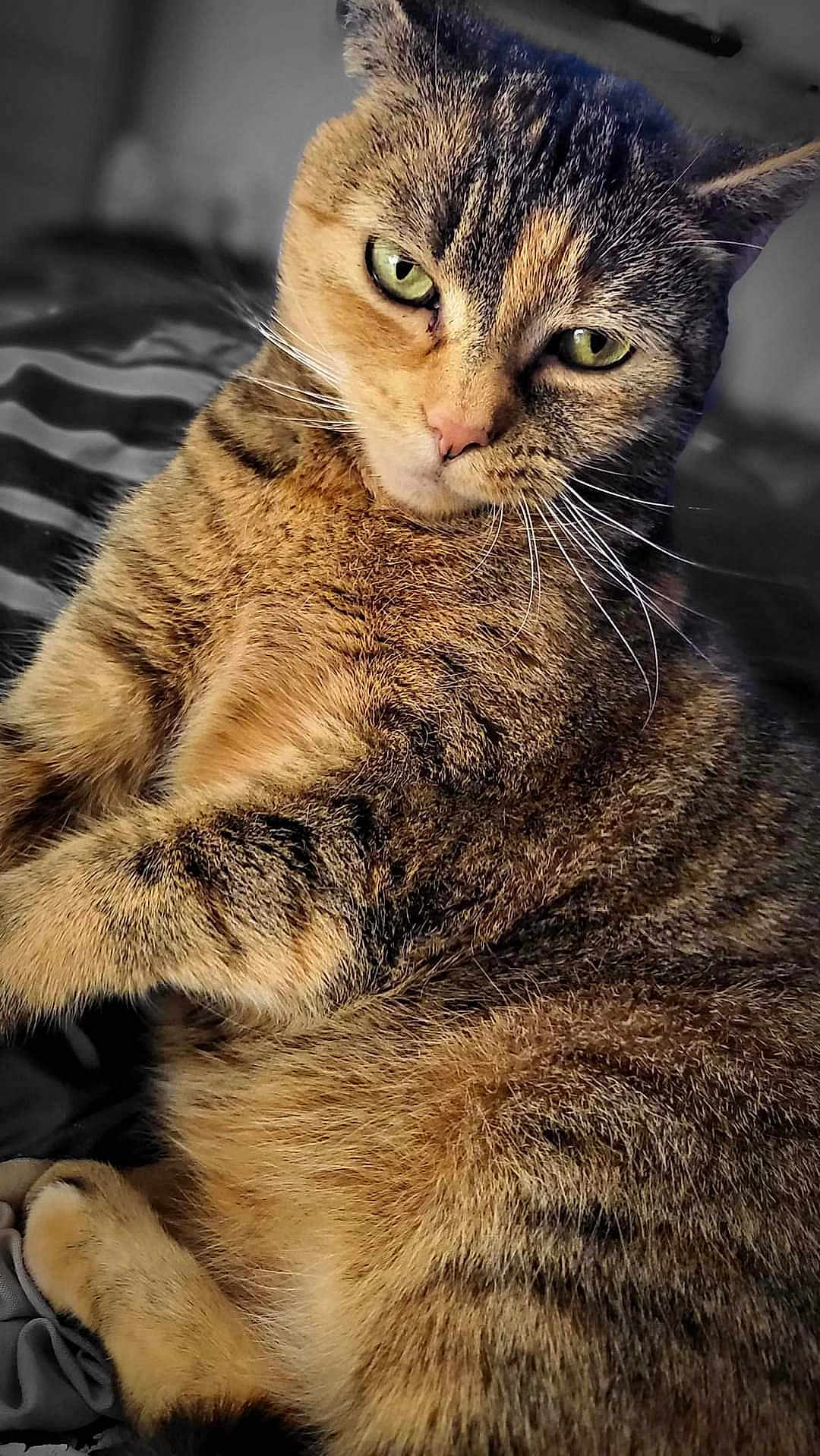 Pebbles
