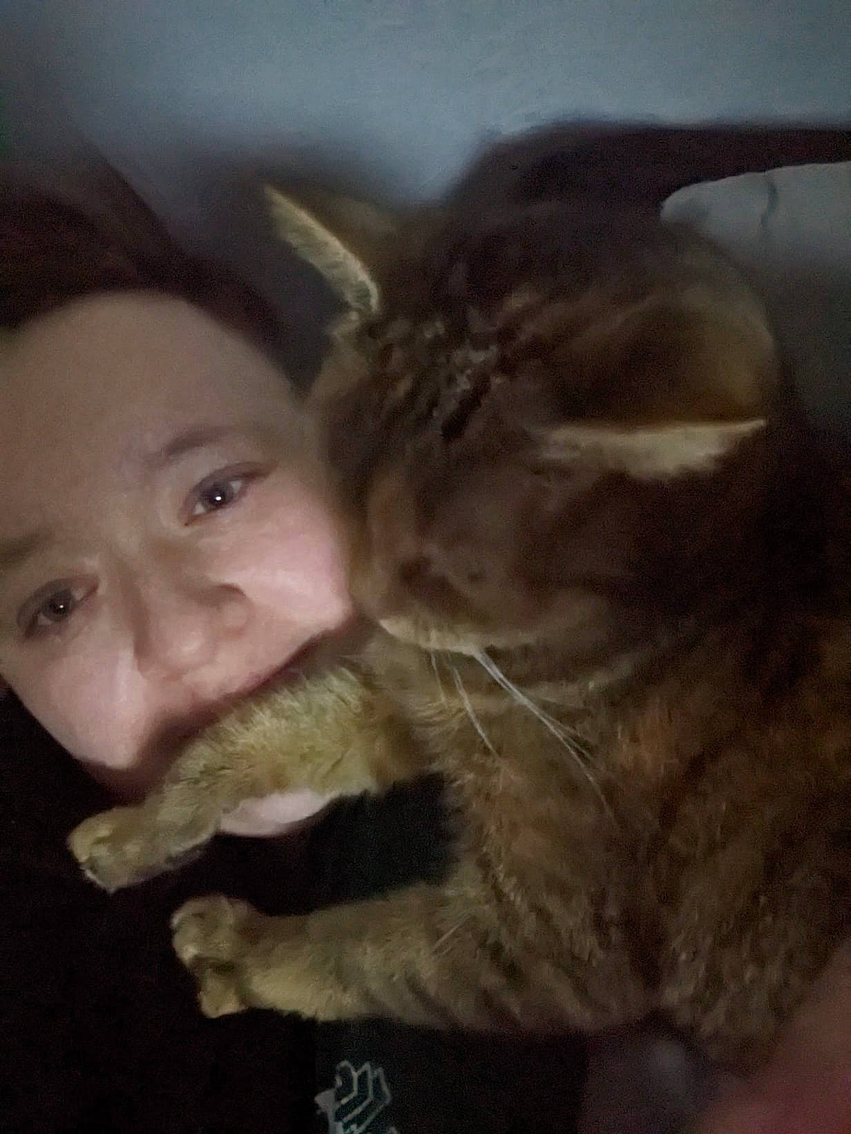 Pebbles is registered to the contest to win money with this photo: carnivore, cat, ear, eye, eyelash, fawn, felidae, gesture, happy, head, iris, jaw, mammal, nose, selfie, small_to_medium_sized_cats, smile, snout, vertebrate, whiskers