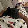 dog, black_dog, sleeping, blanket, pattern, indoor, couch, person, lap, cozy, relaxing, furniture, living_room, resting, comfort, animal, pet, home, soft, warm
