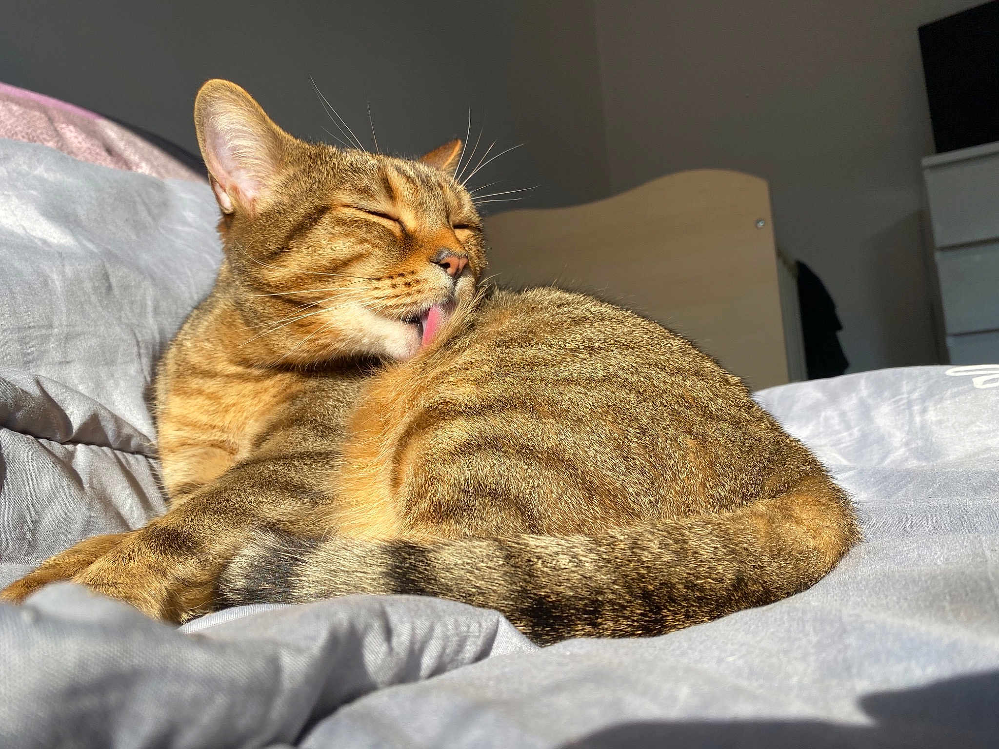 Boubouille