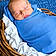 Paxton