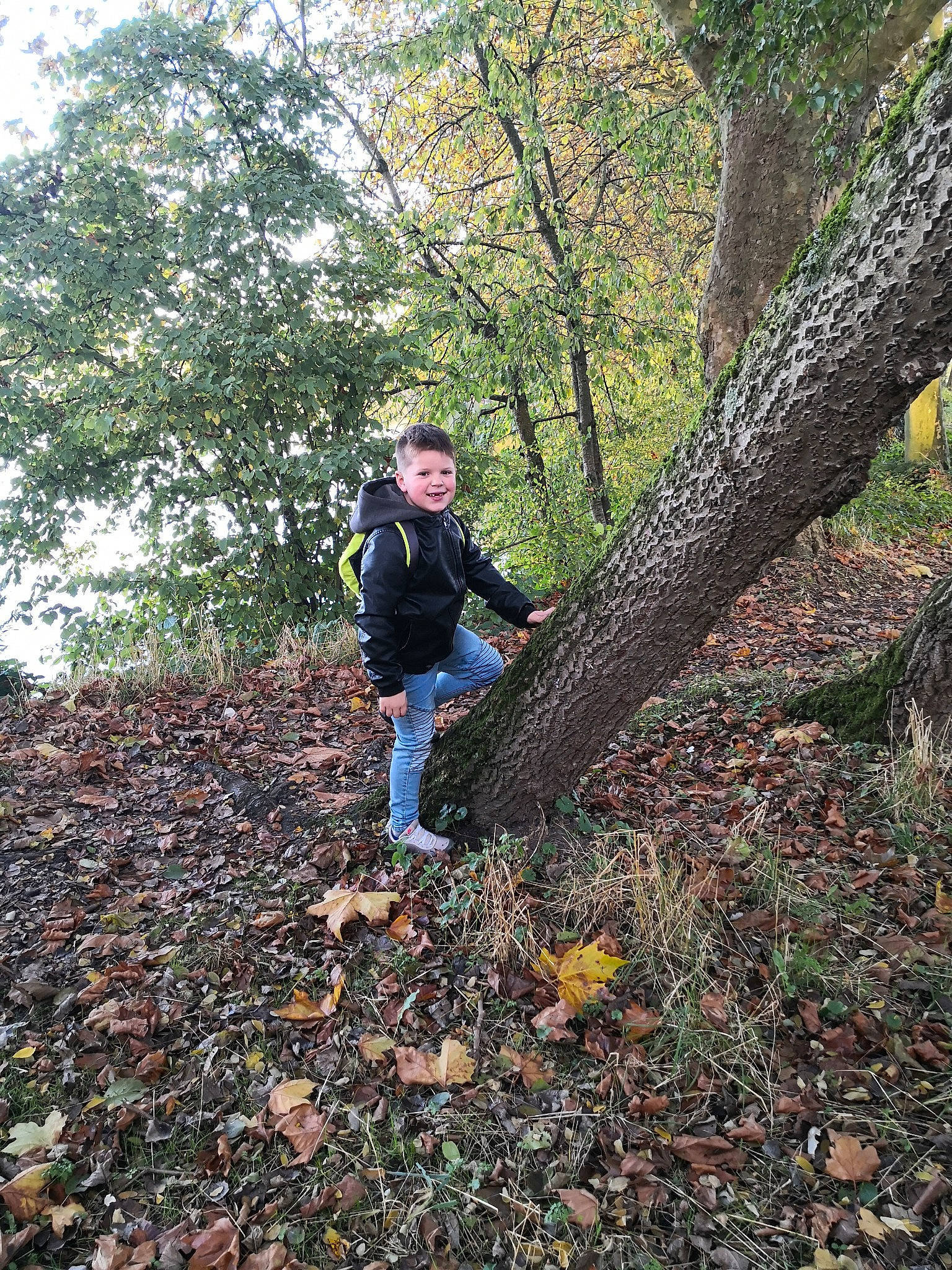 Lilian a rejoint le concours — aidez-le/la à gagner de superbes lots ! adventure, branch, deciduous, forest, grass, joy, landscape, natural_landscape, outdoor_recreation, path, people_in_nature, person, plant, recreation, soil, temperate_broadleaf_and_mixed_forest, trail, tree, trunk, twig