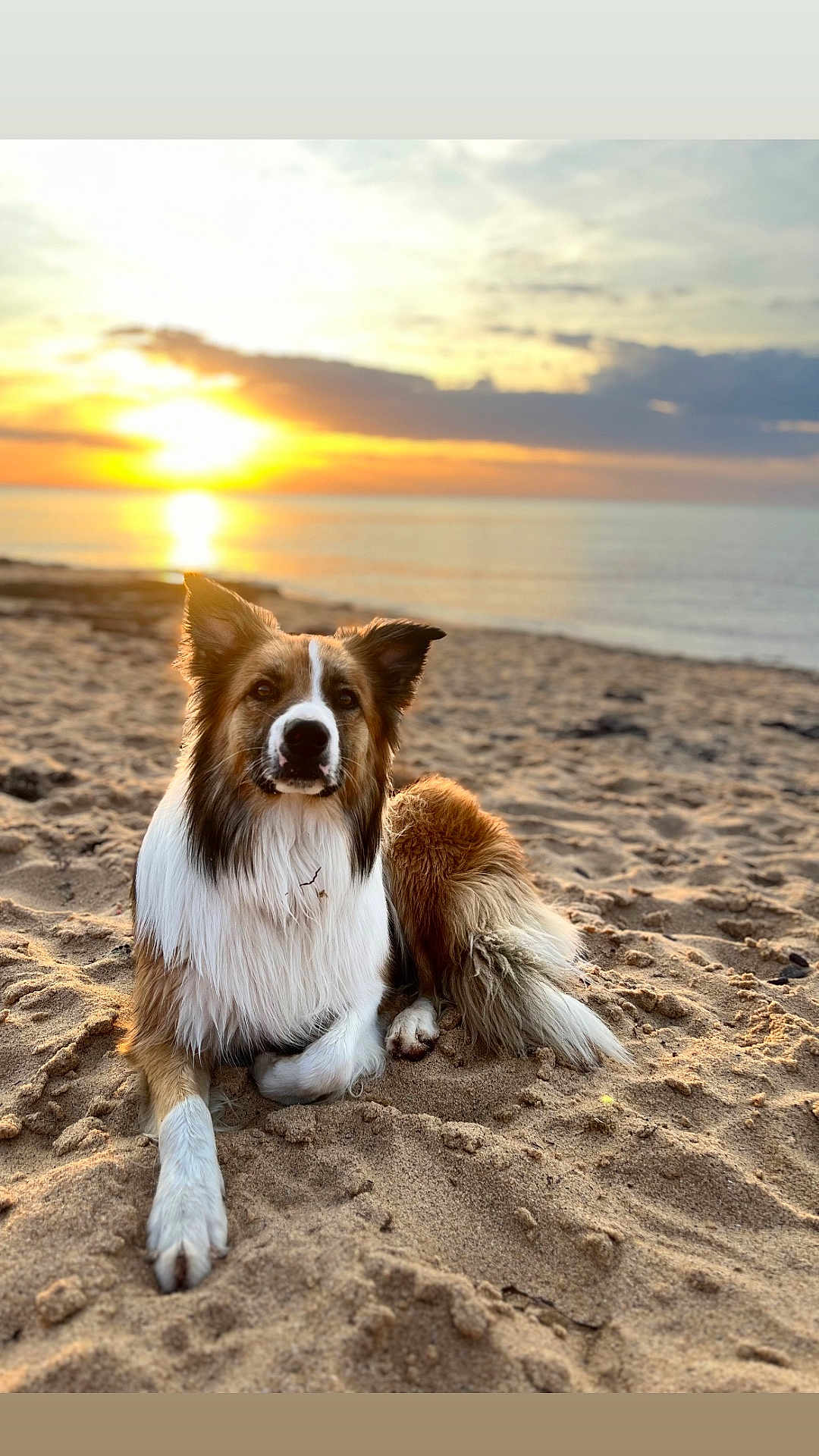 Winston