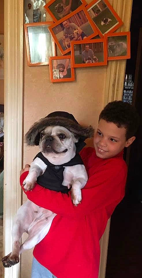 Nana a rejoint le concours — aidez-le/la à gagner de superbes lots ! canidae, carnivore, child, companion_dog, dog, dog_breed, dog_clothes, fawn, fur, picture_frame, puppy_love, room, sitting, smile, snout, sporting_group, stuffed_toy, toy, toy_dog, working_animal