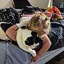 child, cat, bed, blanket, hugging, indoor, animal, pet, comfort, furniture, soft, colorful, black_and_white_cat, carpet, sleepwear, curtain, cuddling, hair, rest, affection