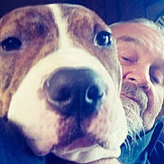 Sasha is registered to the contest to win money with this photo: dog, person, face, close_up, indoor, beard, mustache, brown, white, snout, portrait, man, pet, animal, casual, warm_lighting, blurred_background, hand, smile, cozy