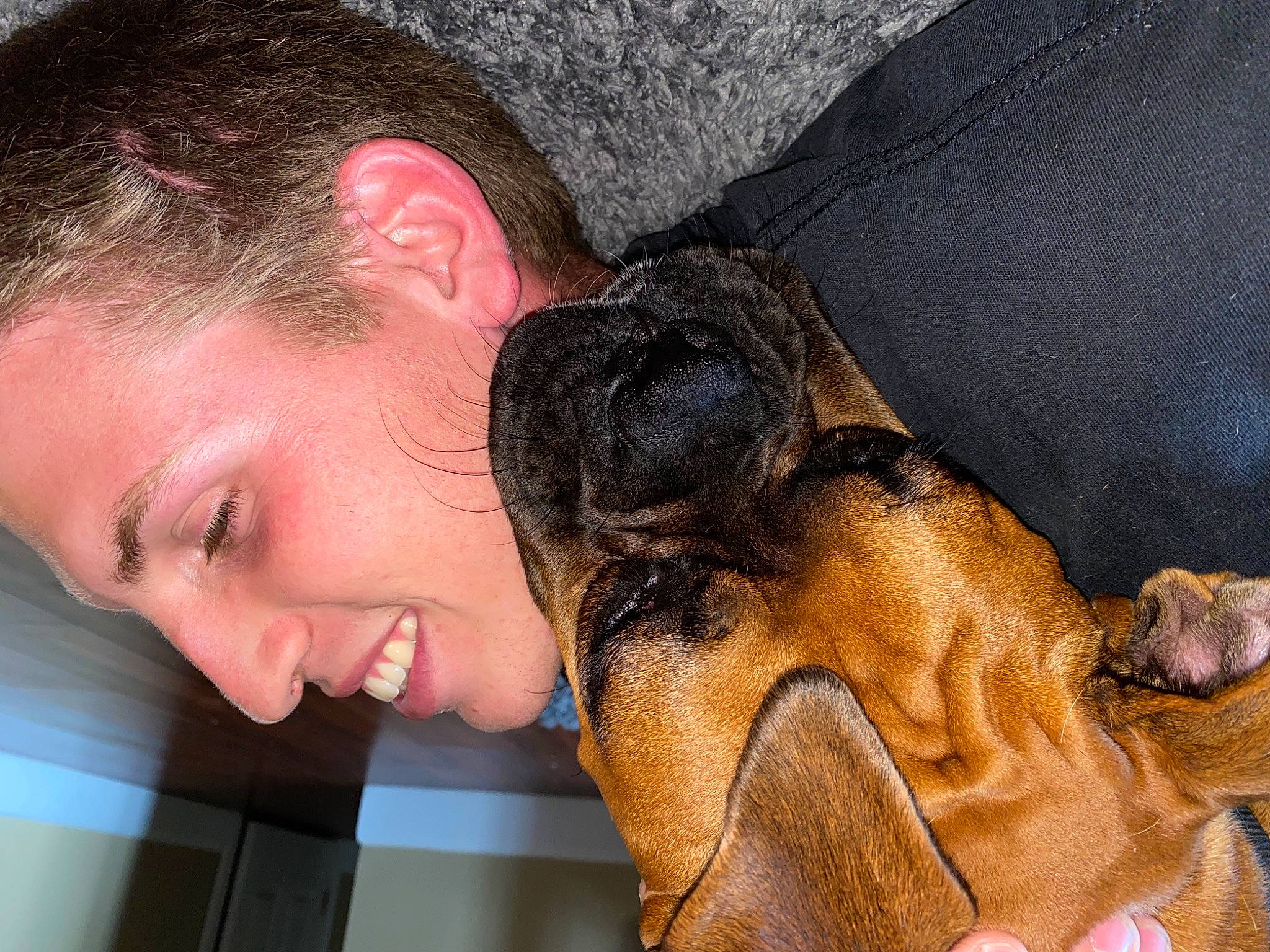 Prince is registered to the contest to win money with this photo: black_hair, carnivore, chest, companion_dog, dog, dog_breed, ear, elbow, eyelash, fawn, gesture, happy, head, jaw, liver, nose, smile, snout, throat, wrinkle