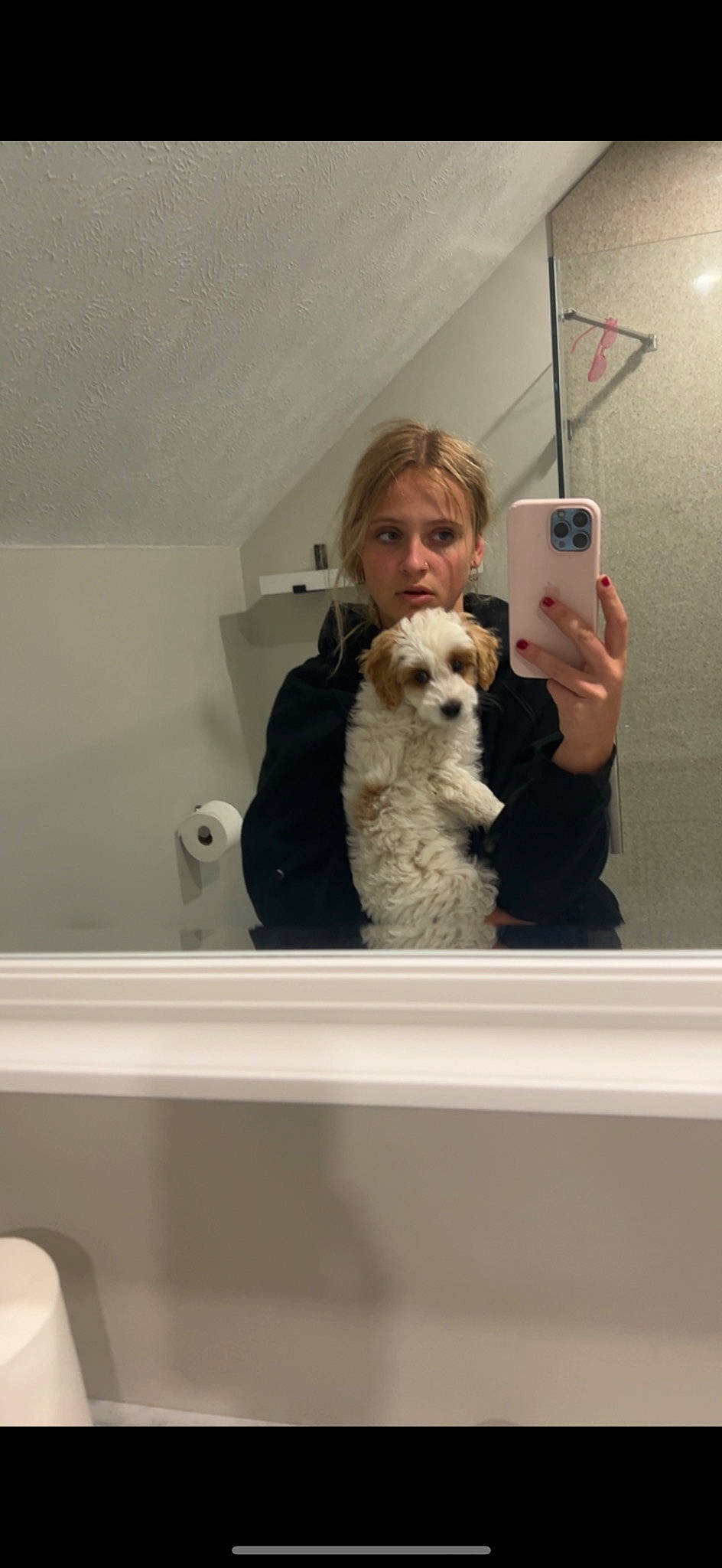 Maggie is registered to the contest to win money with this photo: canidae, carnivore, companion_dog, dog, dog_breed, eyewear, formal_wear, fur, glasses, labradoodle, poodle, puppy_love, room, selfie, small_terrier, sporting_group, sunglasses, terrier, toy, toy_dog