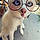 Arlo