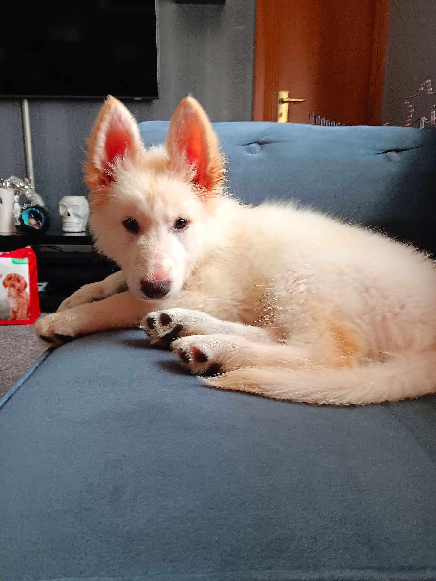 Zeus
