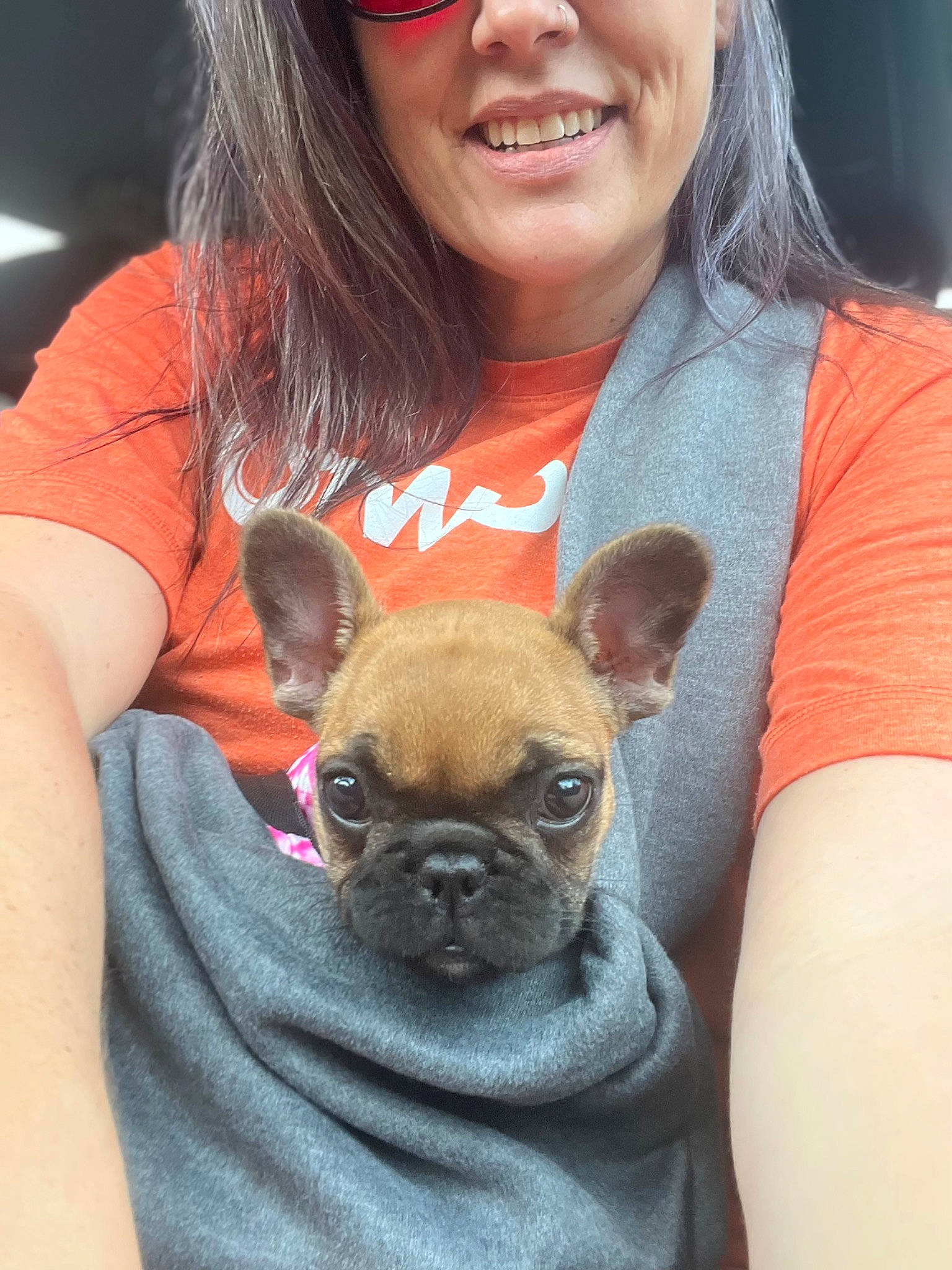 Fiona joined the competition — help win amazing prizes! canidae, carnivore, companion_dog, cool, dog, dog_breed, ear, eyewear, fashion_accessory, fawn, happy, mammal, organ, skin, smile, snout, sunglasses, t_shirt, toy_dog, vision_care