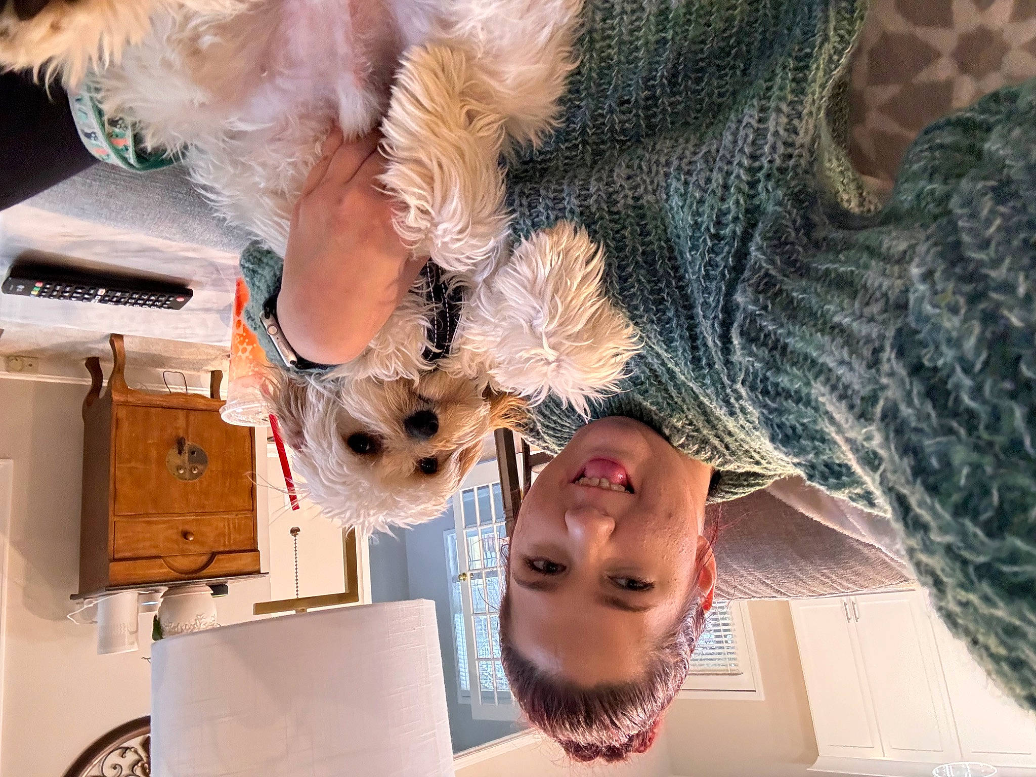 Bear joined the competition — help win amazing prizes! beard, beauty, box, companion_dog, dog_breed, eyelash, eyewear, felidae, fun, fur, happy, pattern, photograph, photography, room, selfie, shipping_box, snapshot, sunglasses, tree