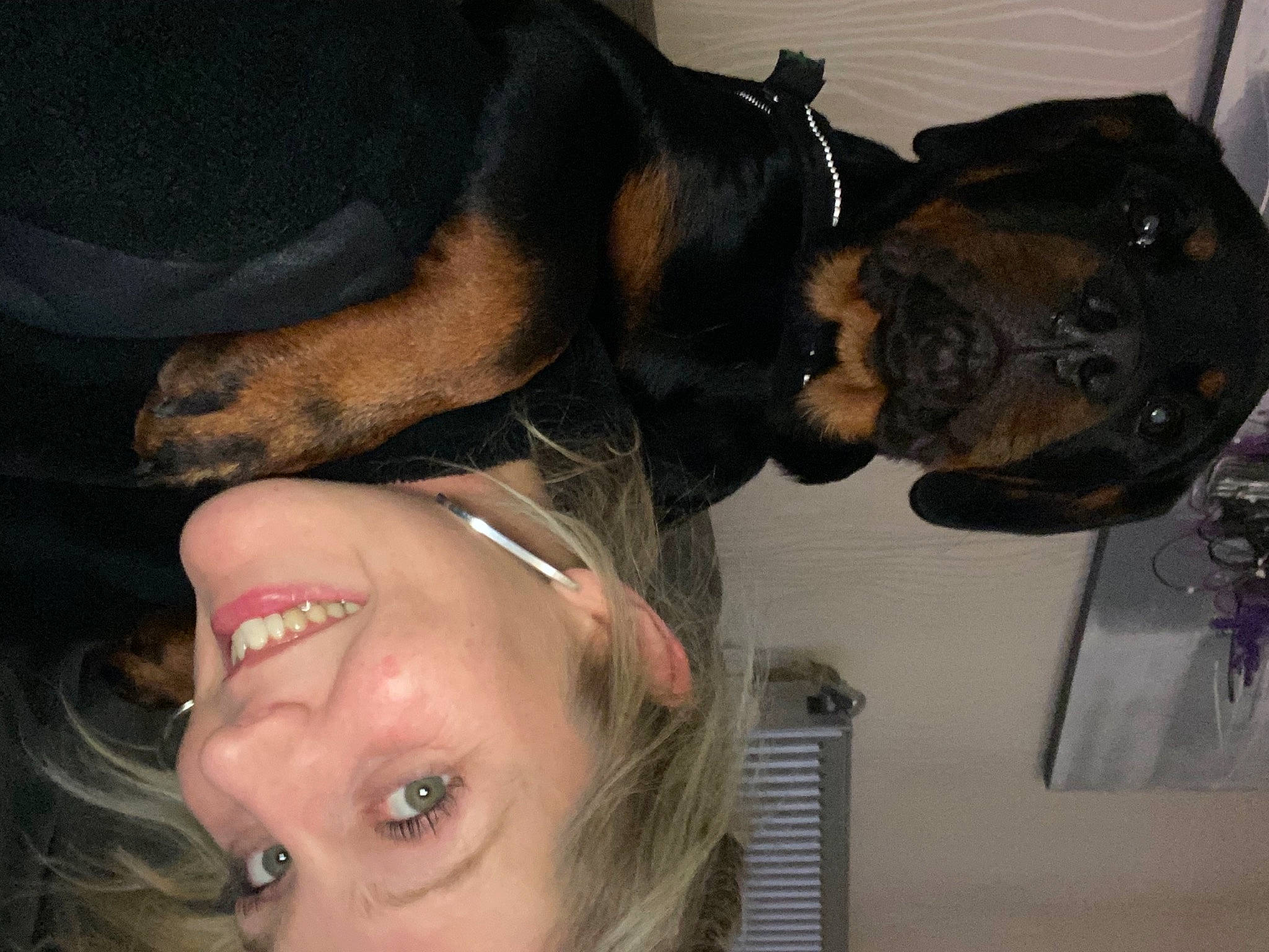 Pumbaa a rejoint le concours — aidez-le/la à gagner de superbes lots ! black_hair, carnivore, chest, companion_dog, dog, dog_breed, ear, earrings, eyelash, eyewear, fun, gesture, happy, jaw, mouth, nose, personal_protective_equipment, smile, snout, sunglasses