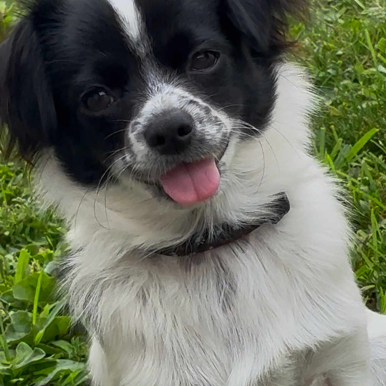 Eddie