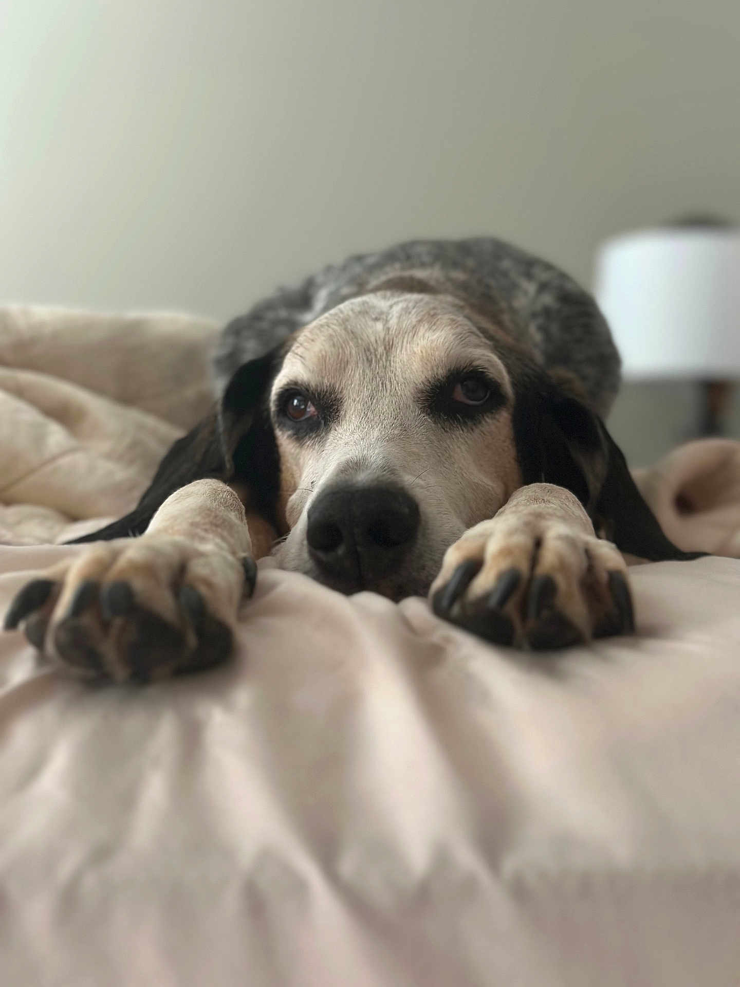 Vinnie