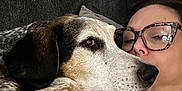 Vinnie is registered to the contest to win money with this photo: dog, person, glasses, couch, snuggling, indoor, closeup, relaxing, pet, face, paw, comfort, casual_clothing, home, resting, brown, white, black, portrait, cozy