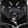 Blake
