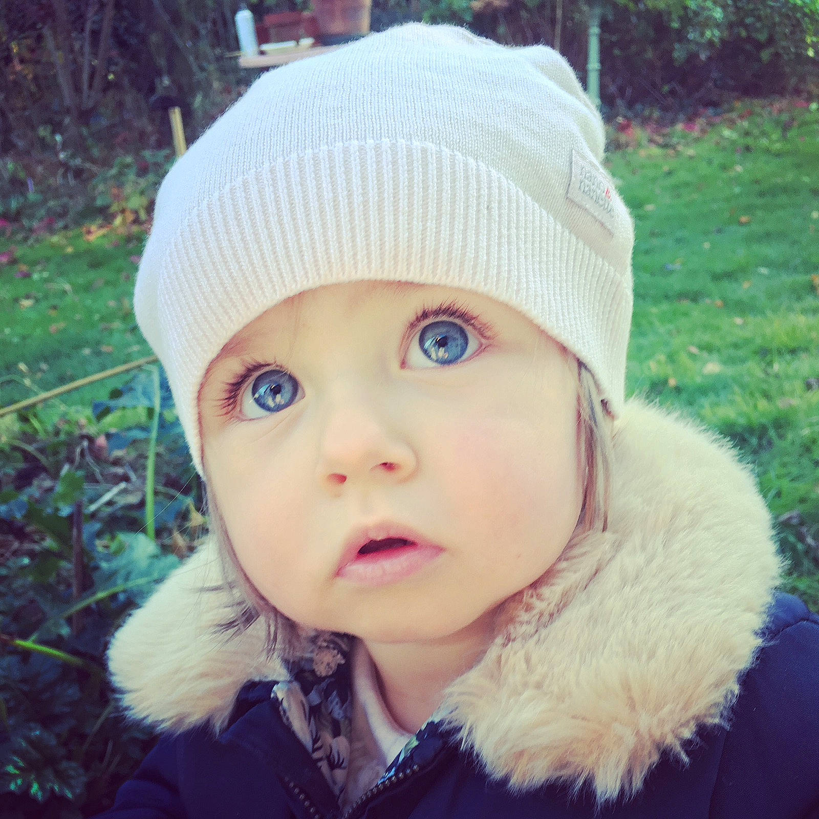 Adèle a rejoint le concours — aidez-le/la à gagner de superbes lots !