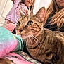 cat, tabby_cat, person, child, indoor, long_hair, purple_shirt, blanket, curious, close_up, furniture, home, pet, animal, face, whiskers, fur, soft, cozy, casual