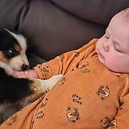 Corentin a rejoint le concours — aidez-le/la à gagner de superbes lots ! baby, puppy, dog, couch, orange_onesie, playful, tiger_print, infant, cute, pet, interaction, indoor, furniture, child, lying_down, animal, face, hand, soft_toys, cozy