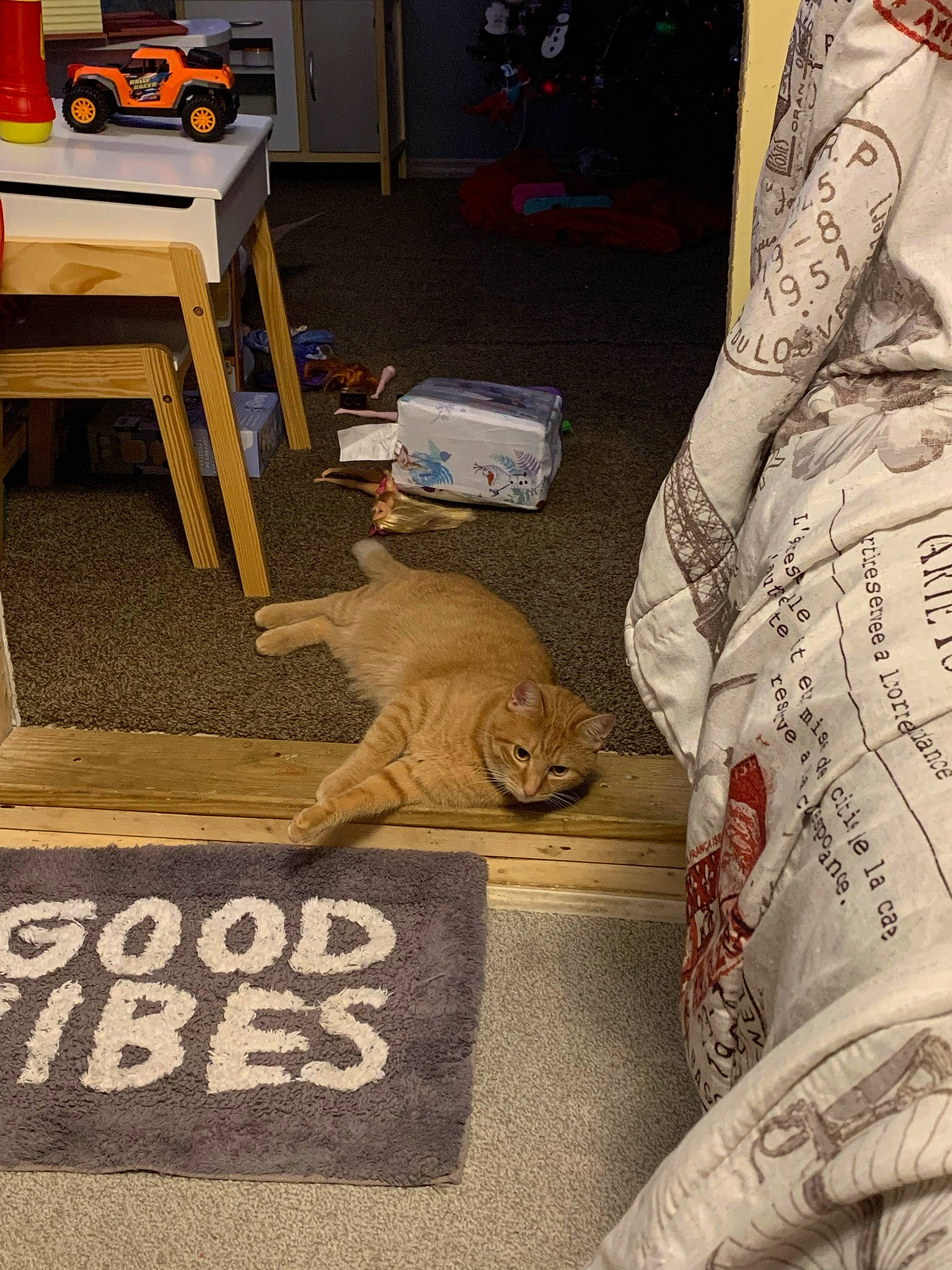 Cheerio joined the competition — help win amazing prizes! box, carnivore, carpet, cat, comfort, companion_dog, fawn, felidae, floor, flooring, hardwood, mammal, room, shipping_box, small_to_medium_sized_cats, table, vertebrate, whiskers, wood, yellow