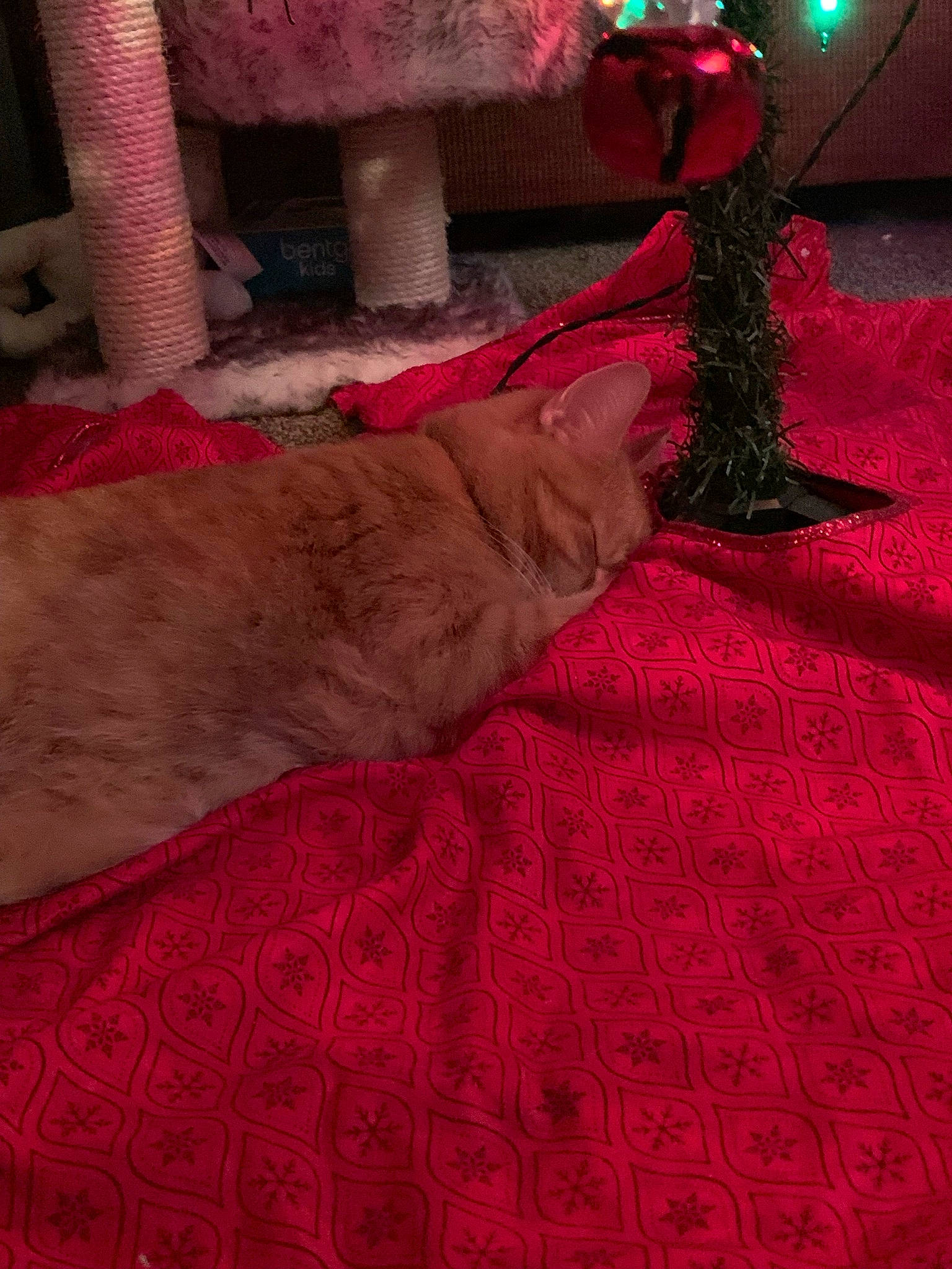 Cheerio joined the competition — help win amazing prizes! bedding, carmine, carpet, comfort, fawn, flooring, foot, fur, human_leg, linens, magenta, pattern, pink, red, room, textile, thigh, tints_and_shades, wood, wool