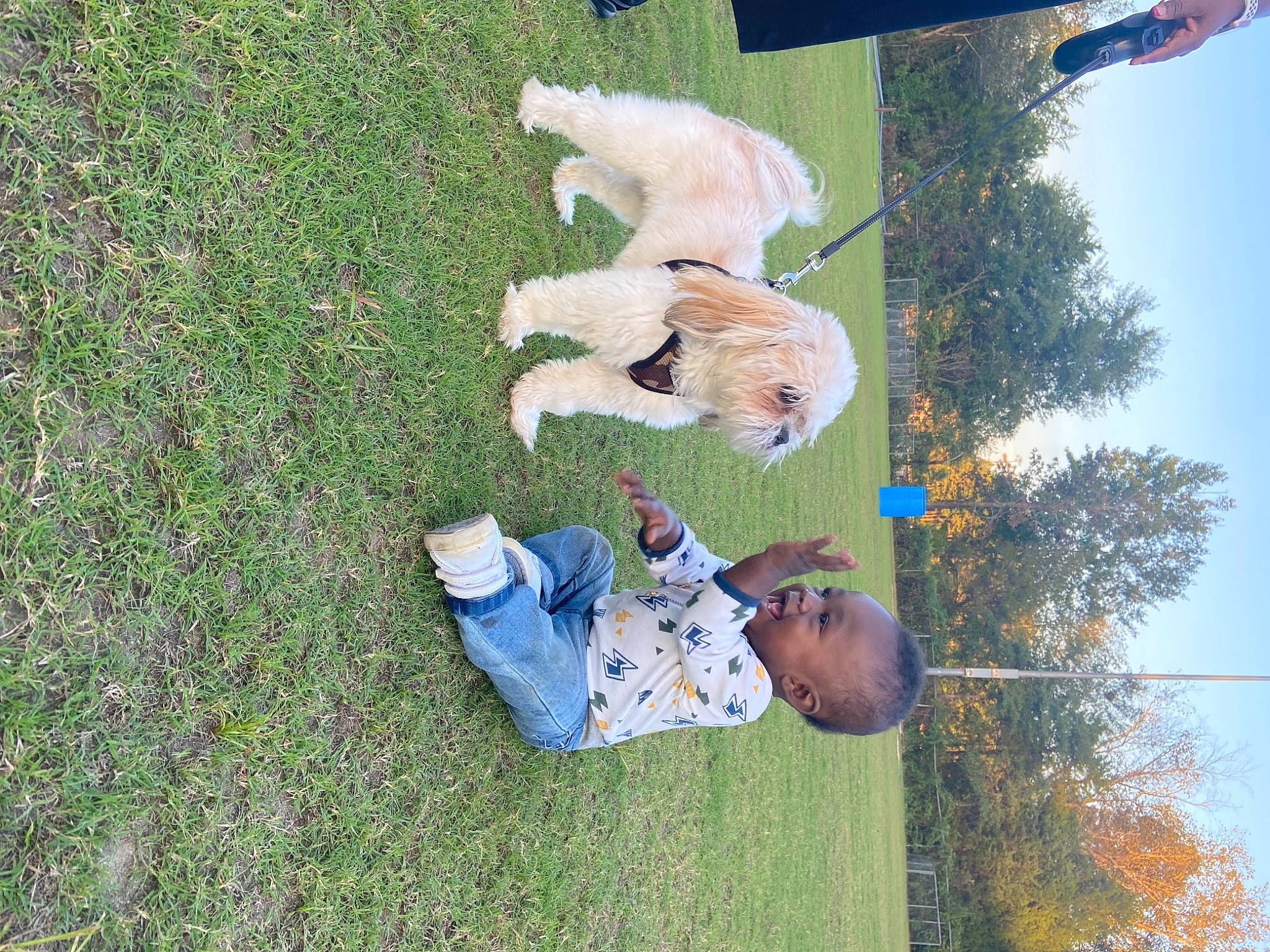 Zyan is registered to the contest to win money with this photo: canidae, carnivore, child, companion_dog, dog, dog_breed, fawn, fun, grass, grassland, happy, lawn, leisure, people_in_nature, person, plant, sky, sporting_group, tail, toddler