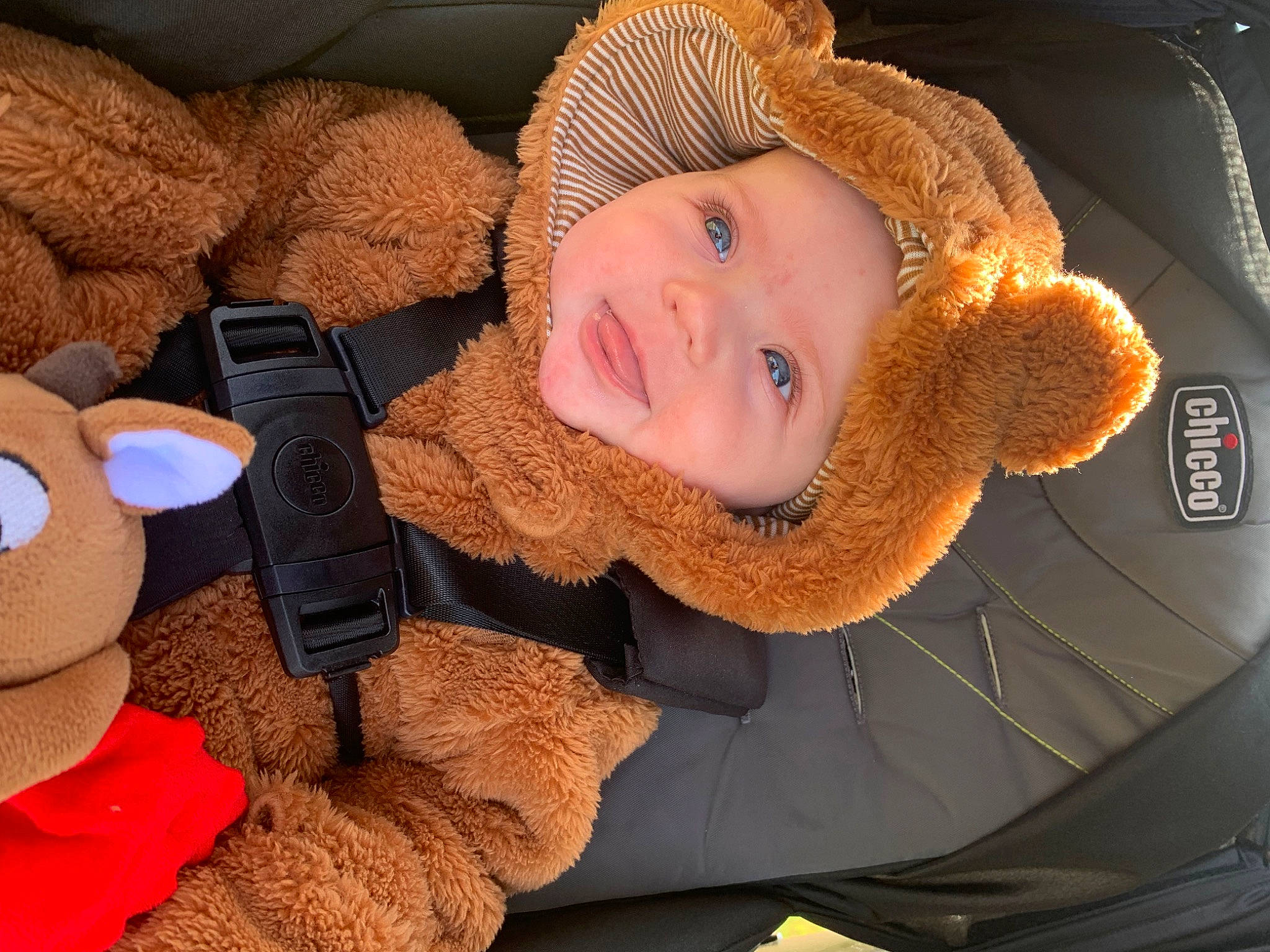 Magnolia is registered to the contest to win money with this photo: baby, beanie, cap, car_seat, child, comfort, fashion_accessory, fun, fur, hat, headwear, knit_cap, person, plush, smile, stuffed_toy, thread, toddler, toy, wood