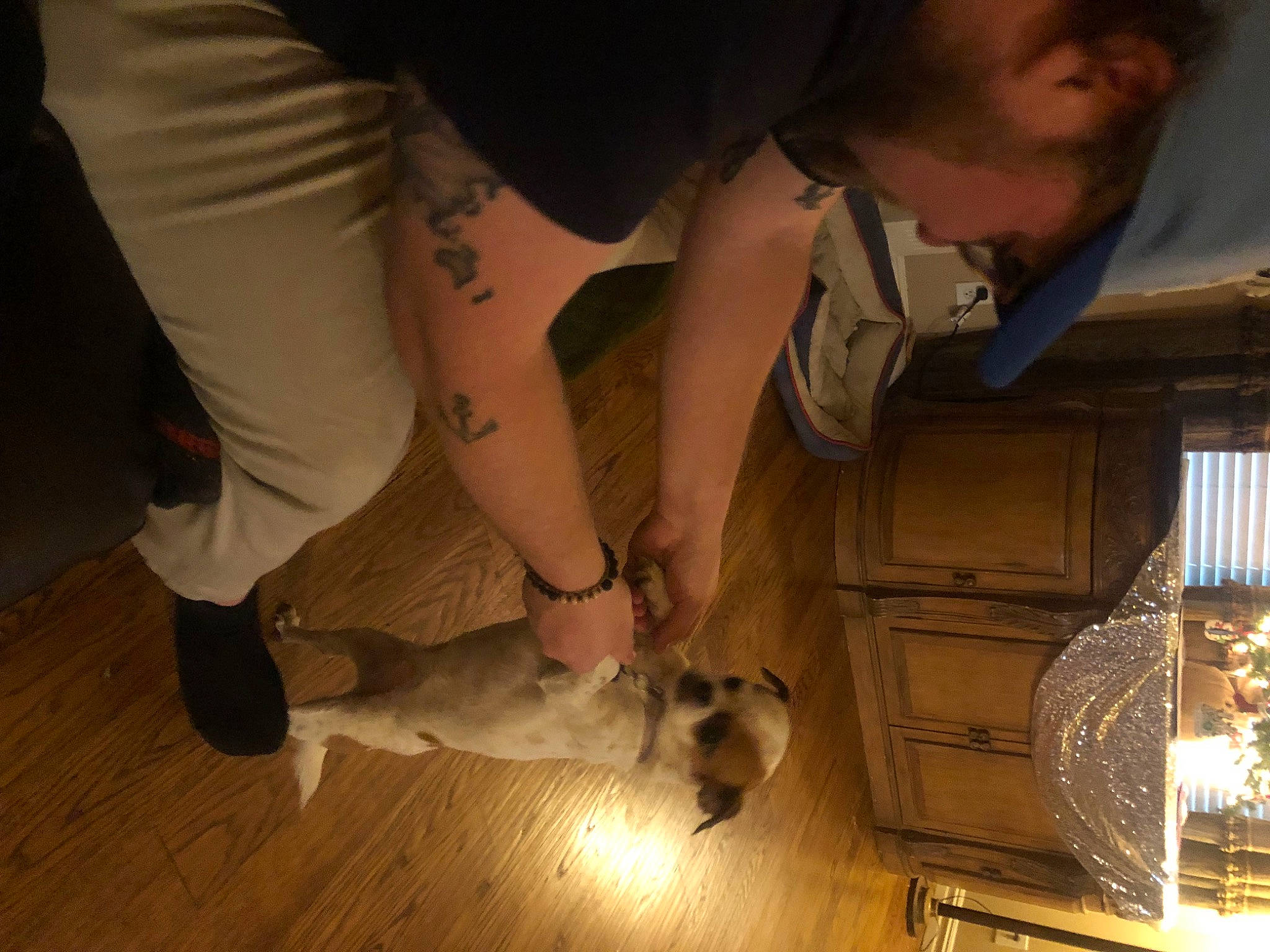 Magnolia is registered to the contest to win money with this photo: canidae, companion_dog, event, flooring, foot, fun, fur, hardwood, headwear, human_leg, knee, laminate_flooring, person, room, sandal, sitting, thigh, tree, varnish, wood