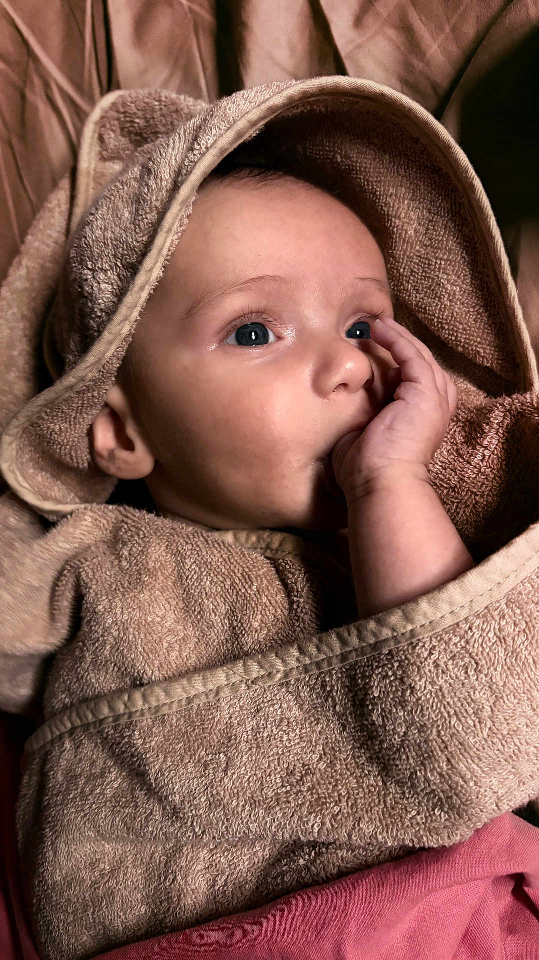 Aaron a rejoint le concours — aidez-le/la à gagner de superbes lots ! baby, infant, towel, thumb_sucking, wrapped, cozy, soft_texture, face, skin, hand, eyes, curious, cute, child, portrait, indoors, fabric, blanket, newborn, warm