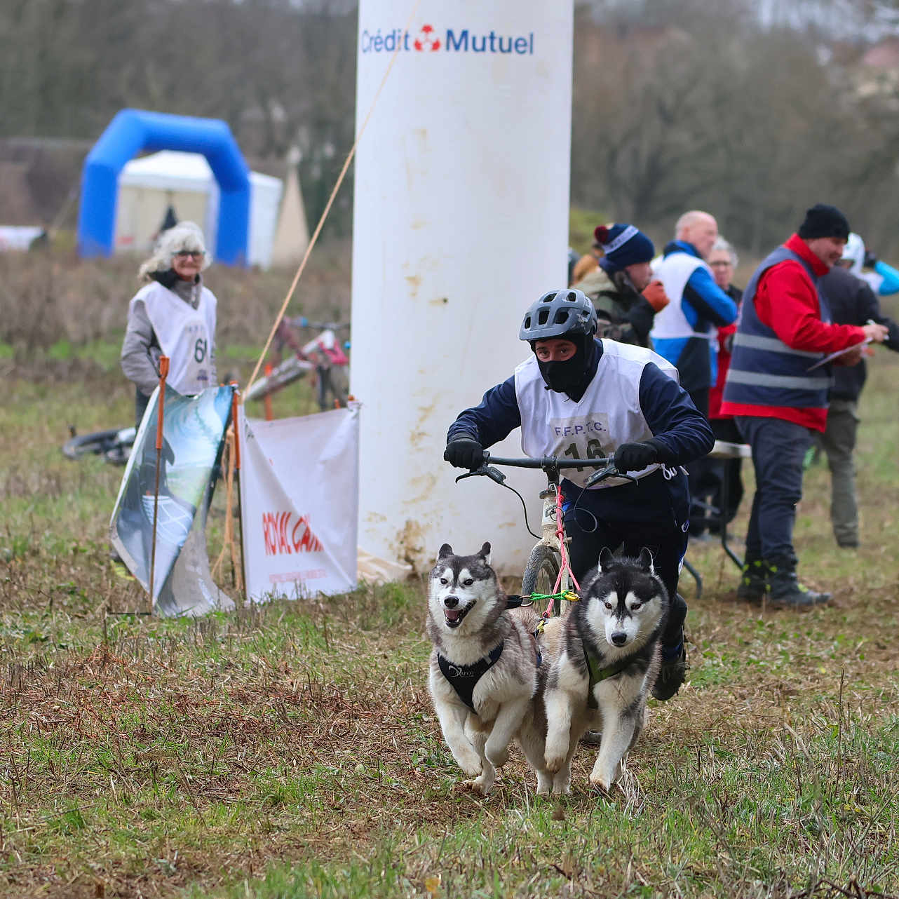 Bjorn Hadess participe au concours pour gagner de l'argent avec cette photo : action, animal, bicycle, cold_weather, competition, dog, event, field, grass, helmet, husky, jacket, leash, musher, outdoor, people, photographer, race, spectators, sports