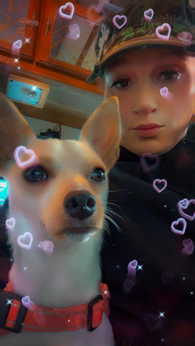 Lottie joined the competition — help win amazing prizes! dog, person, selfie, hat, camo, heart_filter, collar, indoor, face, pet, cute, closeup, animal, canine, love, filter_effect, brown_eyes, snout, whiskers, expression