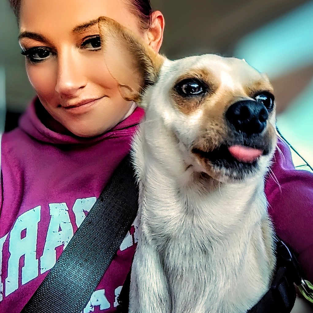 Lottie joined the competition — help win amazing prizes! animal, car, casual, closeup, companion, cute, dog, friendship, happy, hoodie, indoors, light, pet, pink_hair, portrait, seatbelt, smile, tongue_out, travel, woman